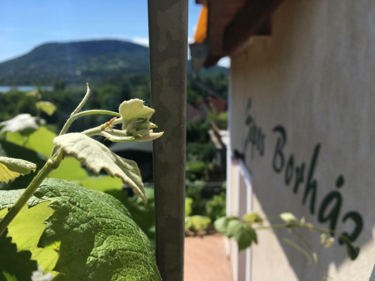 Sipos Borhaz Es Vendeghaz Hotel Badacsonyörs Buitenkant foto